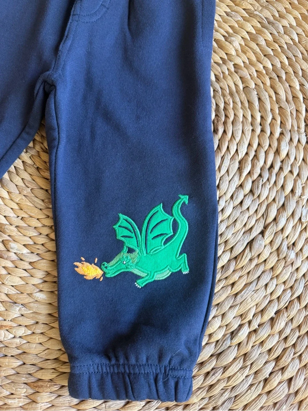 Gymboree Dragon Fleece Pants